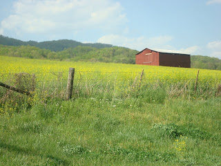 A field, an open door and so much more