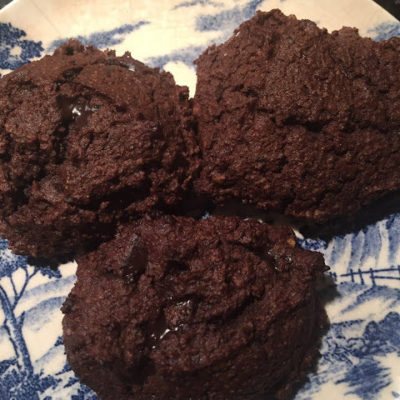 Trim Healthy Mama Chocolate Moisties Review