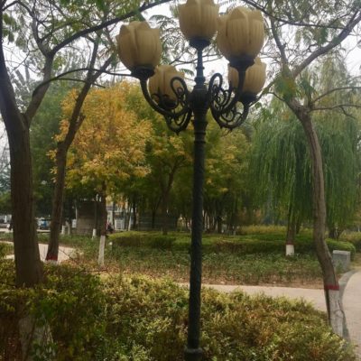 For the Love of Lamp Lights – Changan Park, Shijiazhuang, China