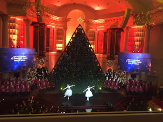 For The Love of Lamp Lights – The Living Christmas Tree 2019