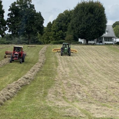 Finding beauty in every face and place – Tractors in town