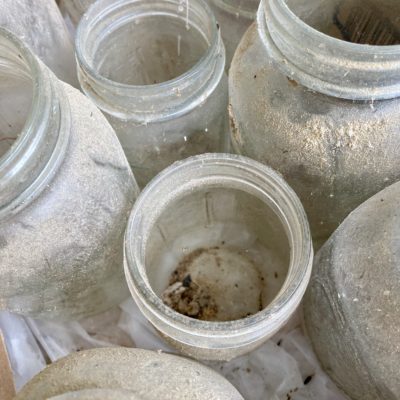 Finding Beauty in Every Face & Place – Vintage Canning Jars