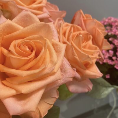 Joyce’s peach roses