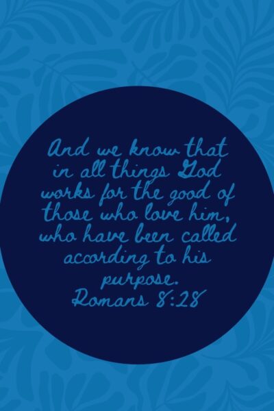 95079f57-8f93-4987-9d35-ae260e9893f5