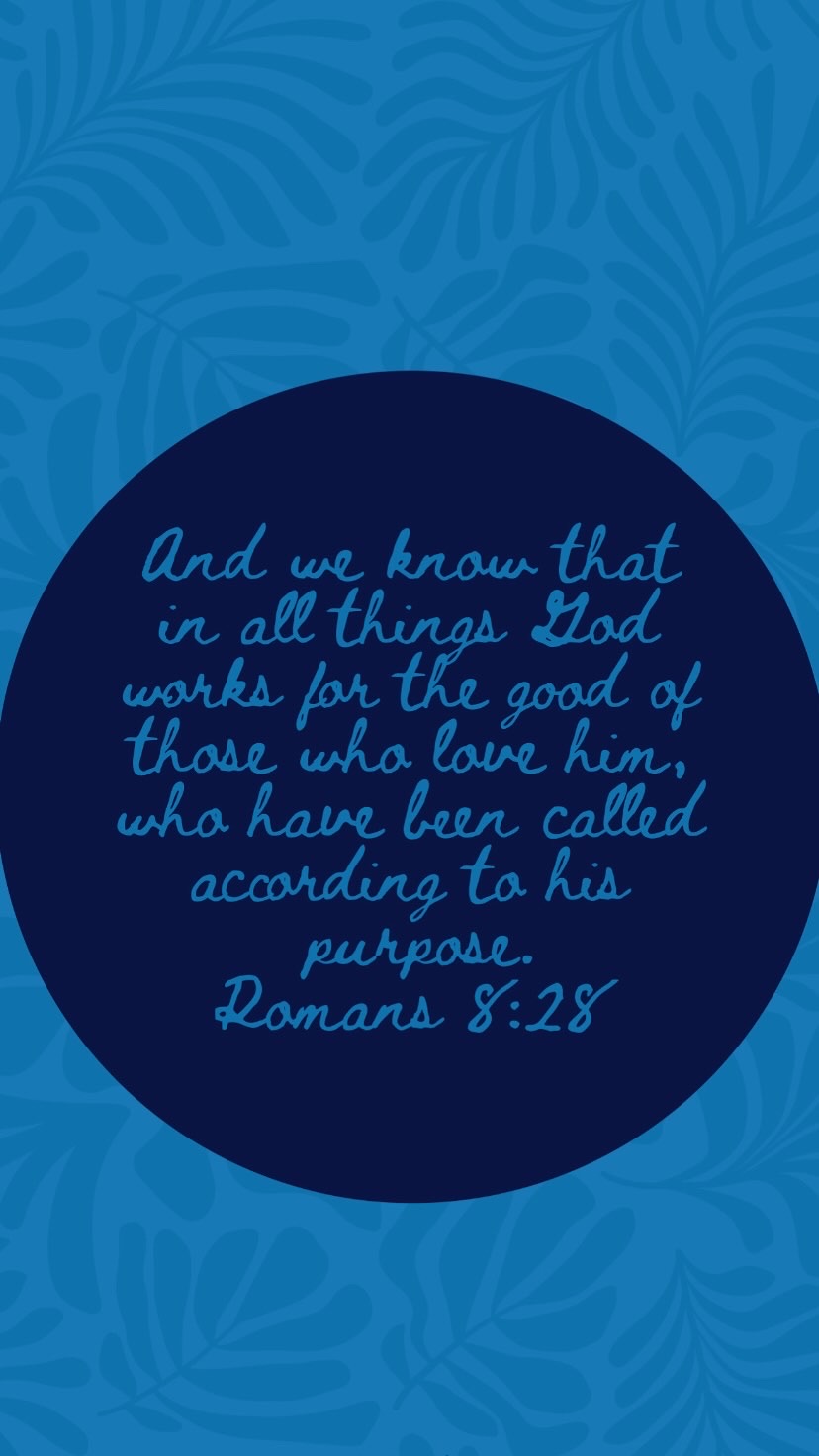 95079f57-8f93-4987-9d35-ae260e9893f5